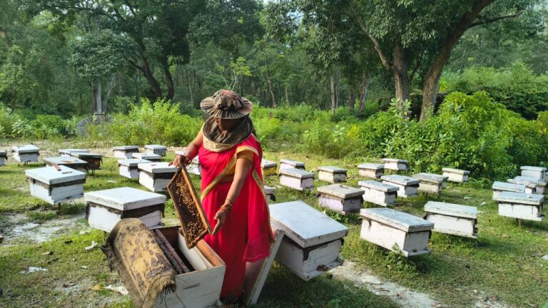 मधु’ से मिली मिठास — मौन पालन से आत्मनिर्भर बनीं बसंती देवी