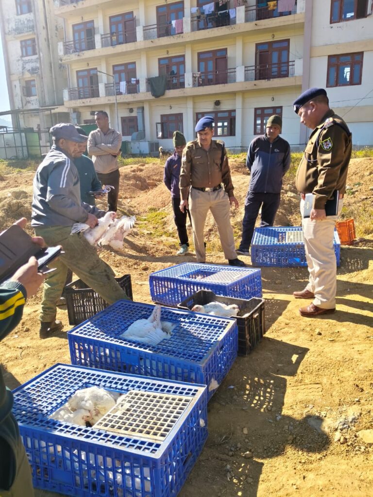 स्थानीय पशुपालकों को बड़ा लाभ: आईटीबीपी को 700 किलो जीवित मुर्गी की आपूर्ति सफल