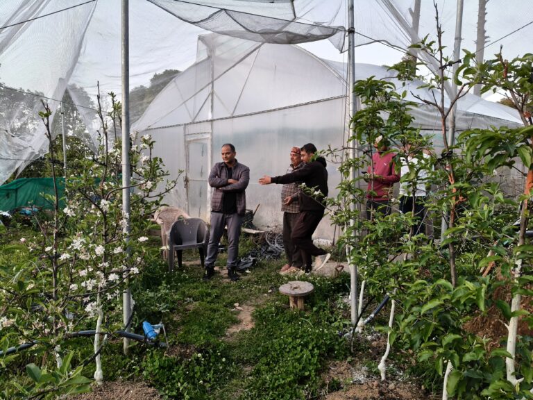 चम्पावत में युवा कृषक की आधुनिक बागवानी तकनीक का जिलाधिकारी ने किया स्थलीय निरीक्षण