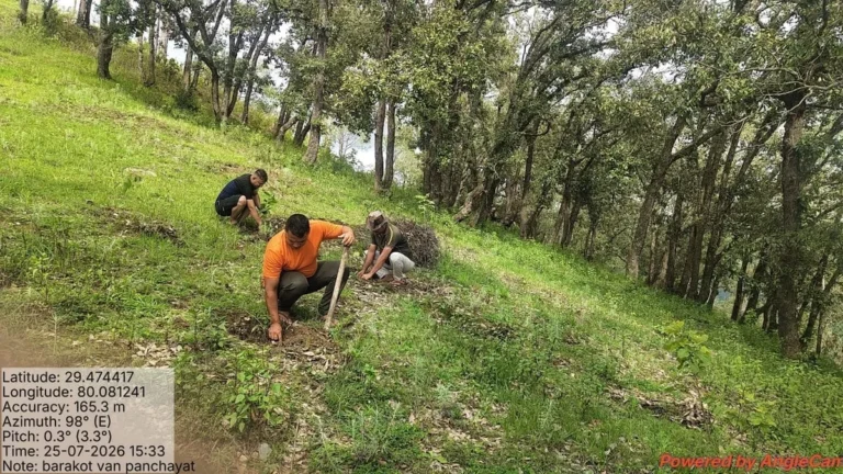 चंपावत: जनभागीदारी से पर्यावरण संरक्षण अभियान, बाराकोट में 250 पौधे रोपे गए